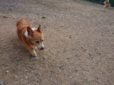 f:id:roukenhome-ann:20190818152300j:plain