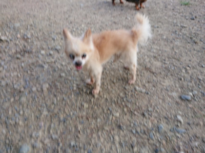 f:id:roukenhome-ann:20190818152321j:plain
