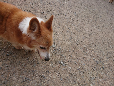 f:id:roukenhome-ann:20190818152335j:plain