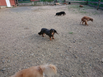 f:id:roukenhome-ann:20190818152351j:plain