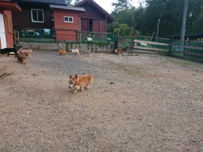 f:id:roukenhome-ann:20190818152419j:plain