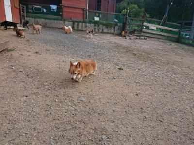f:id:roukenhome-ann:20190818152426j:plain