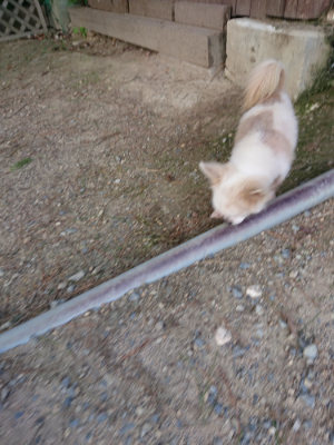 f:id:roukenhome-ann:20190818152432j:plain