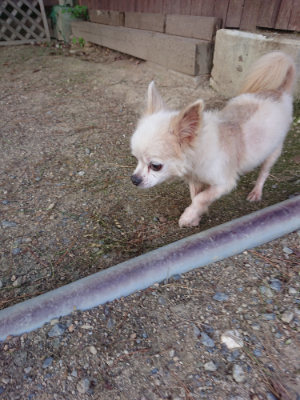 f:id:roukenhome-ann:20190818152438j:plain