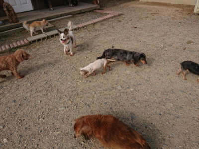 f:id:roukenhome-ann:20190818152631j:plain
