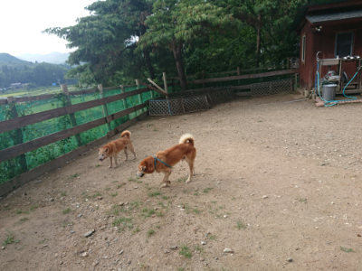 f:id:roukenhome-ann:20190818152641j:plain