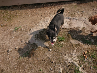 f:id:roukenhome-ann:20190818152739j:plain