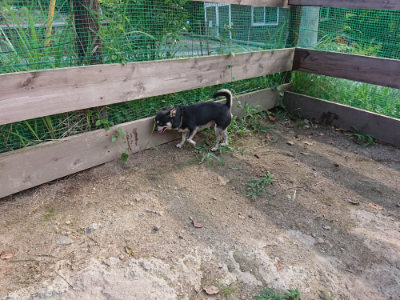 f:id:roukenhome-ann:20190818152840j:plain