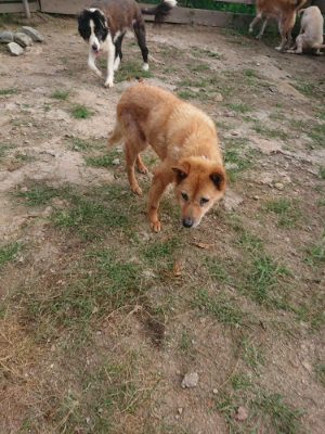 f:id:roukenhome-ann:20190818152959j:plain