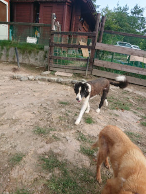 f:id:roukenhome-ann:20190818153005j:plain