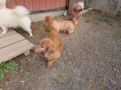 f:id:roukenhome-ann:20190818153056j:plain