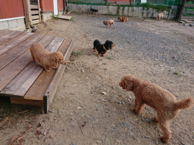 f:id:roukenhome-ann:20190818153112j:plain
