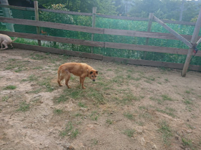 f:id:roukenhome-ann:20190818154136j:plain