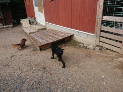 f:id:roukenhome-ann:20190818154145j:plain