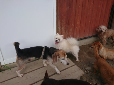 f:id:roukenhome-ann:20190818154152j:plain