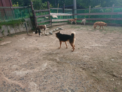 f:id:roukenhome-ann:20190818154212j:plain