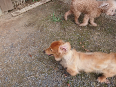 f:id:roukenhome-ann:20190818154219j:plain