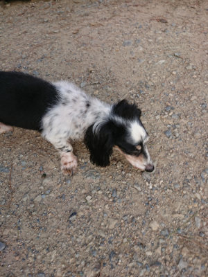 f:id:roukenhome-ann:20190818154231j:plain