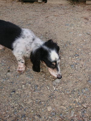 f:id:roukenhome-ann:20190818154251j:plain