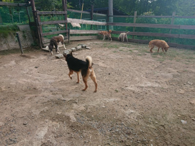f:id:roukenhome-ann:20190818154309j:plain