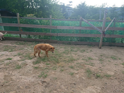 f:id:roukenhome-ann:20190818154315j:plain