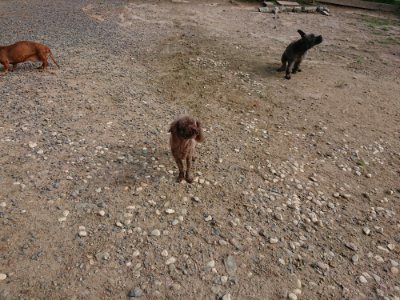 f:id:roukenhome-ann:20190818154331j:plain