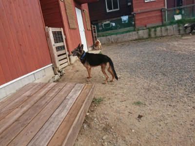 f:id:roukenhome-ann:20190818154343j:plain