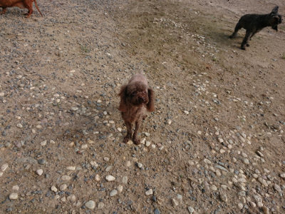 f:id:roukenhome-ann:20190818154402j:plain