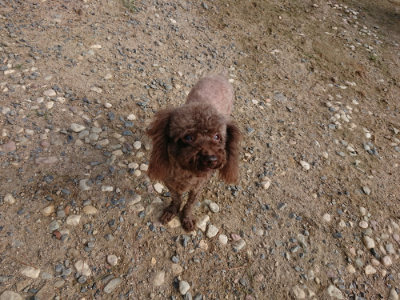 f:id:roukenhome-ann:20190818154408j:plain