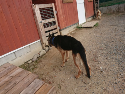 f:id:roukenhome-ann:20190818154415j:plain