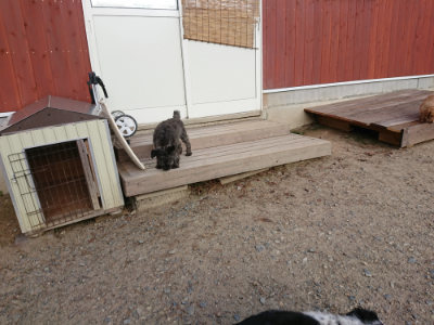 f:id:roukenhome-ann:20190818154434j:plain