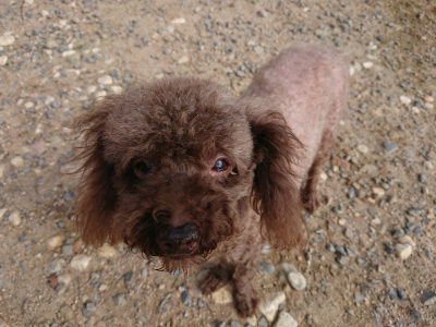 f:id:roukenhome-ann:20190818154439j:plain