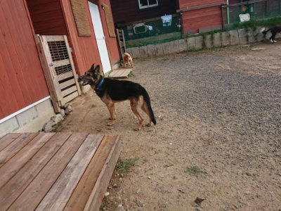 f:id:roukenhome-ann:20190818154451j:plain