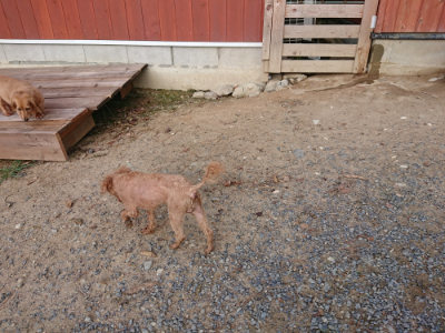 f:id:roukenhome-ann:20190818174816j:plain