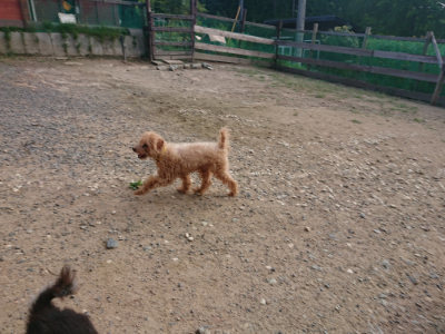 f:id:roukenhome-ann:20190818174823j:plain