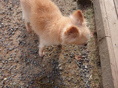 f:id:roukenhome-ann:20190818174858j:plain