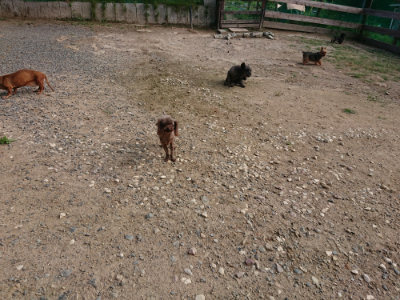 f:id:roukenhome-ann:20190818174906j:plain