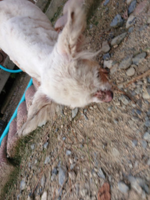 f:id:roukenhome-ann:20190818174923j:plain