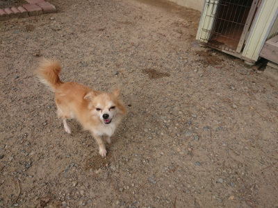 f:id:roukenhome-ann:20190818174943j:plain
