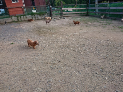 f:id:roukenhome-ann:20190818174953j:plain