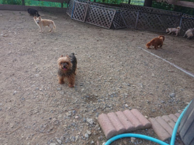 f:id:roukenhome-ann:20190818175030j:plain