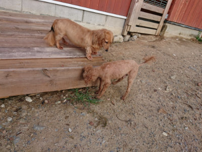 f:id:roukenhome-ann:20190818175036j:plain