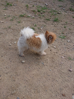 f:id:roukenhome-ann:20190818175116j:plain