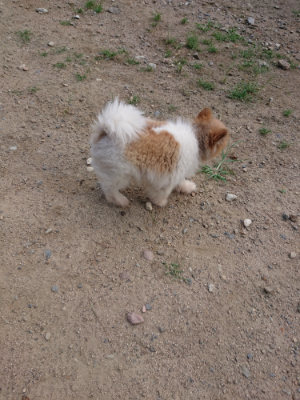 f:id:roukenhome-ann:20190818175150j:plain