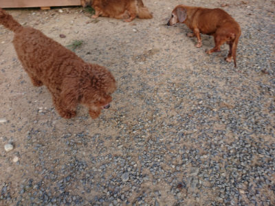 f:id:roukenhome-ann:20190818175202j:plain