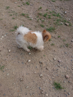 f:id:roukenhome-ann:20190818175227j:plain