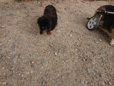f:id:roukenhome-ann:20190818175623j:plain