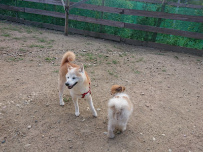 f:id:roukenhome-ann:20190818175657j:plain