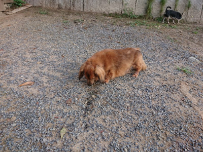 f:id:roukenhome-ann:20190818175720j:plain