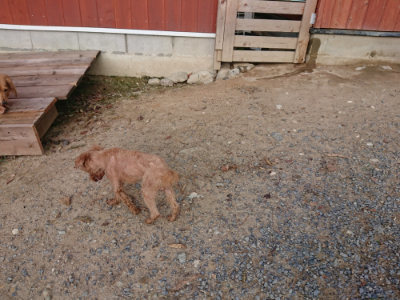 f:id:roukenhome-ann:20190818175726j:plain